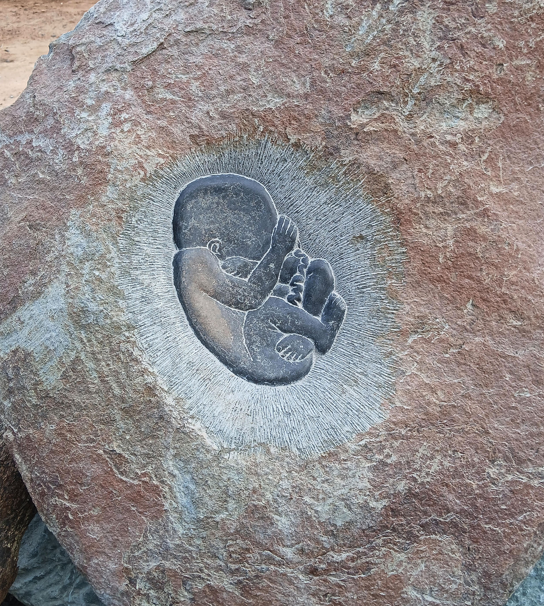 Laila Westergaard, Embryo